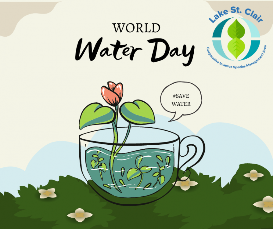 World water day 2022.png