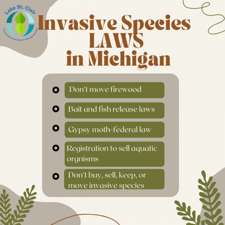 Invasive Species Laws in MI .png